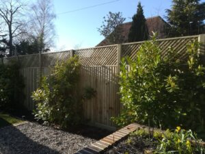 New hedging and fencing Hedging and fencing