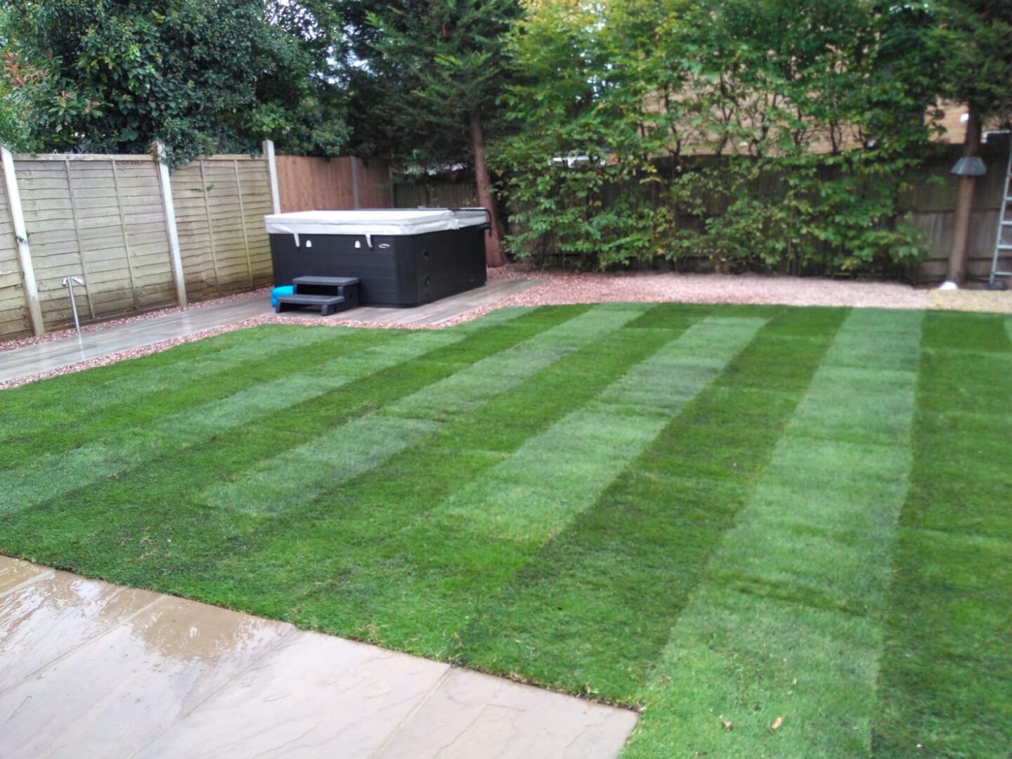 new lawn