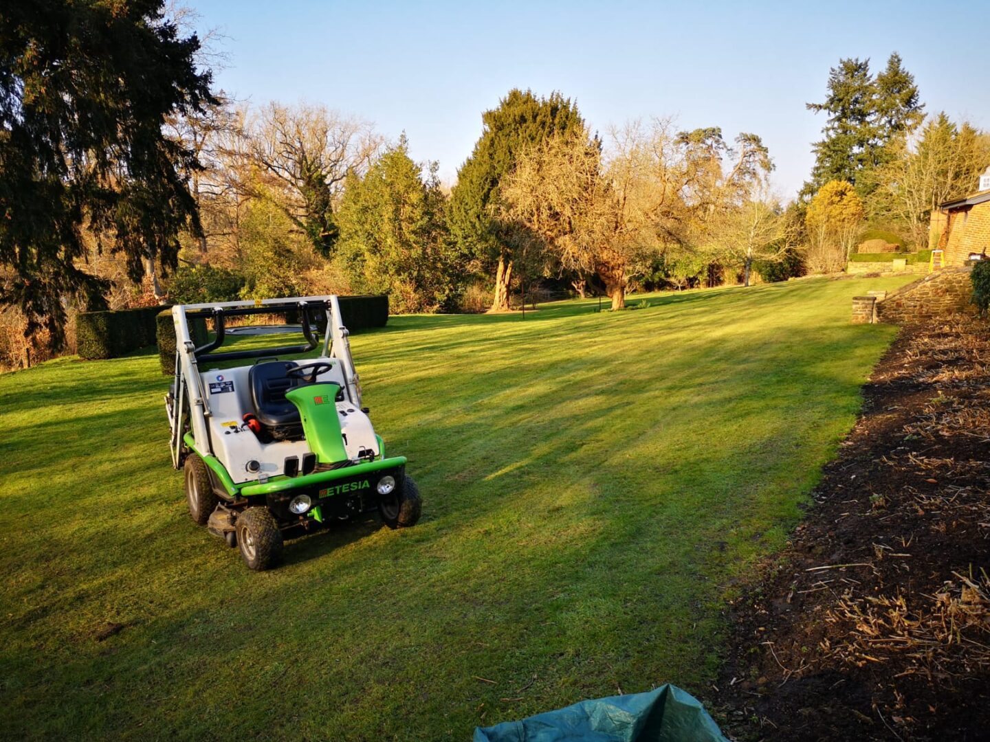 Long grass cutting