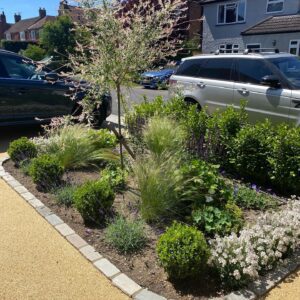 Resin bound driveway and planting Planting in Dorking