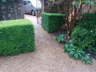 Hedge cutting Surrey