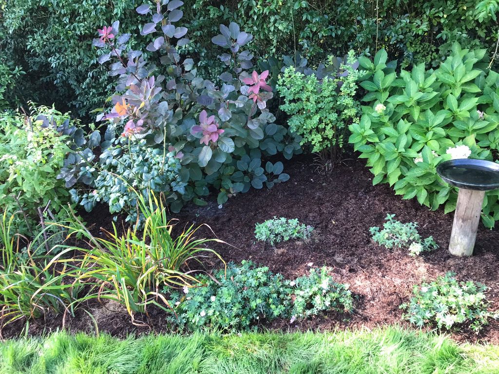 autumn job mulching beds mulching beds