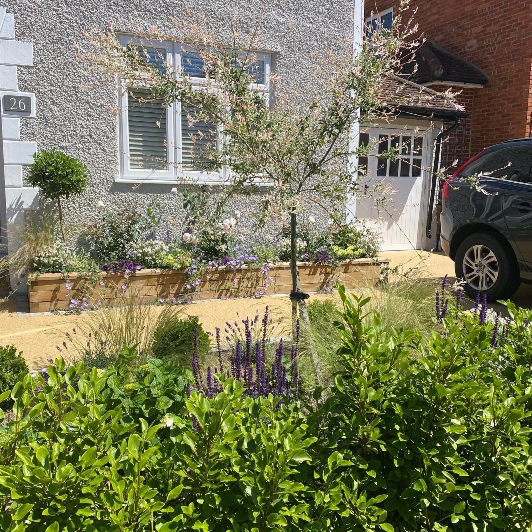 Small driveway planting Planting Dorking driveway