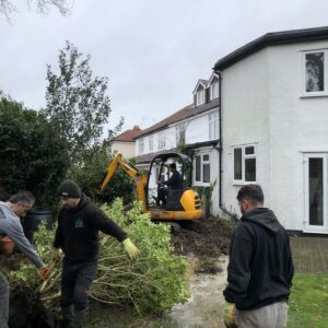 Initial garden clearance Clearance of the garden