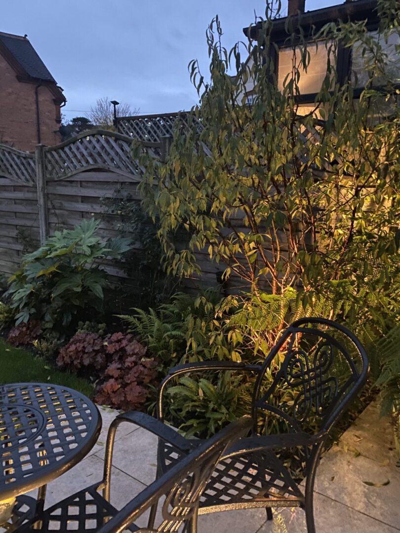 Lighting garden planting Lighting garden planting