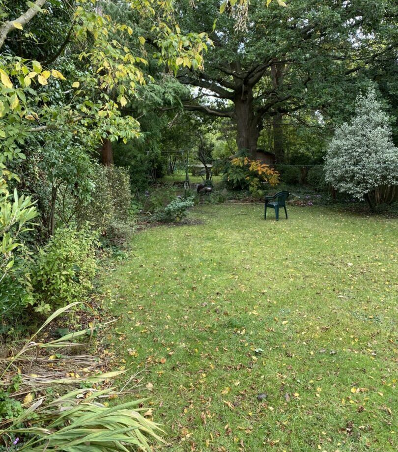 Before landscaping Before landscaping