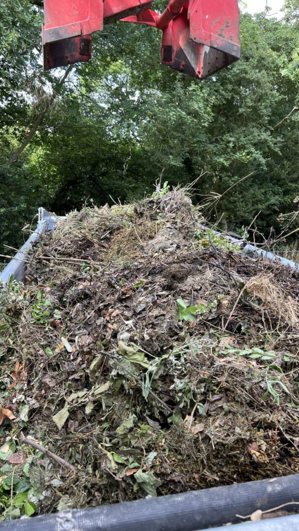 green waste disposal Dorking