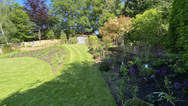 Planting on a slope and drainage