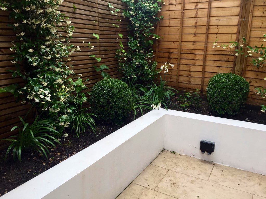 white wall bed white render walls