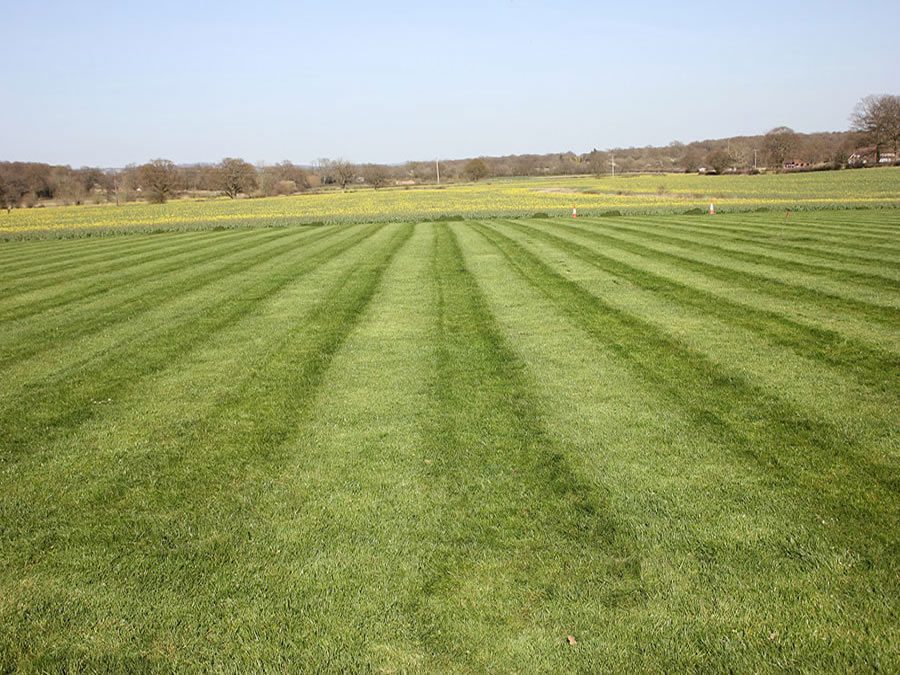 Large-grounds-mowing-Crawley-Horsham-Dorking-Redhill-Guildford-Epsom3