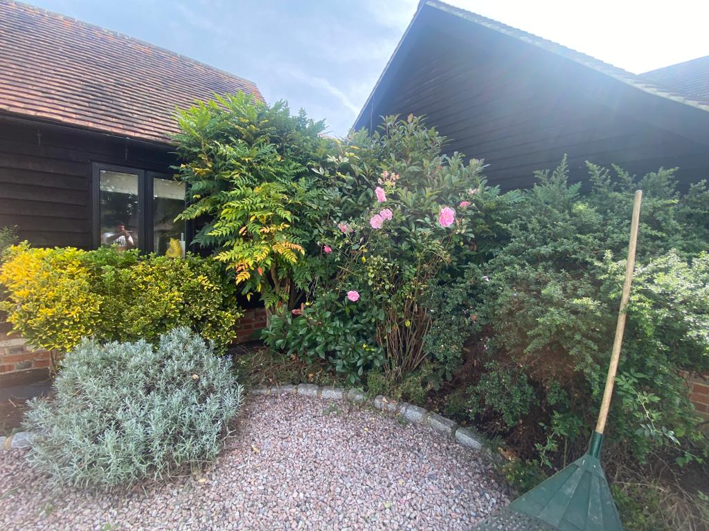 Autumn garden jobs Autumn jobs