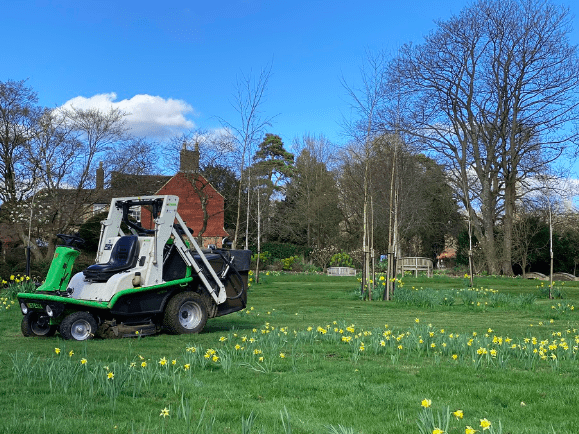 Long grass cutting Long grass cutting