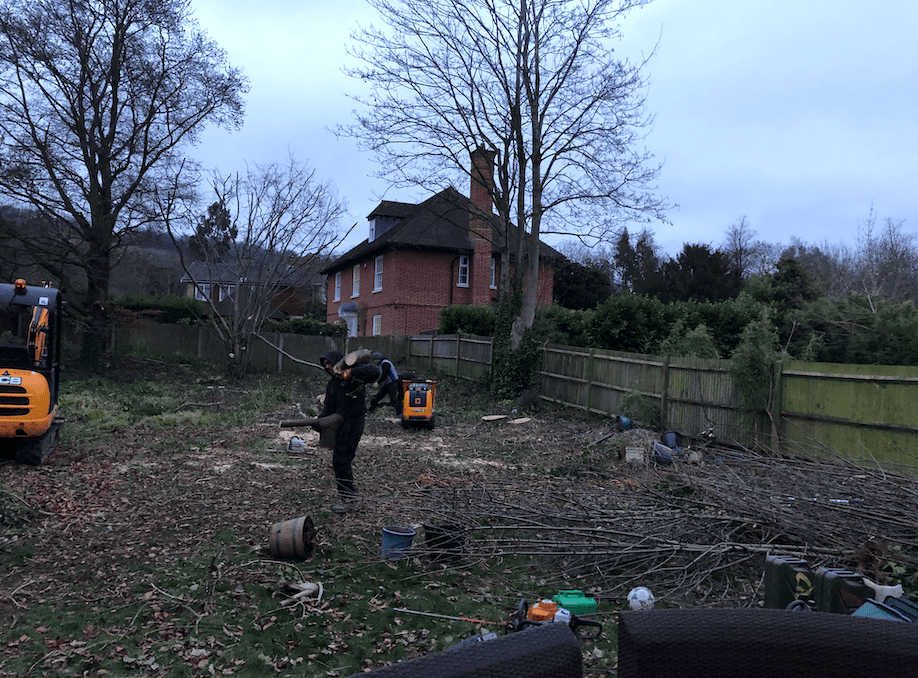 Garden Tidying Garden Tidying