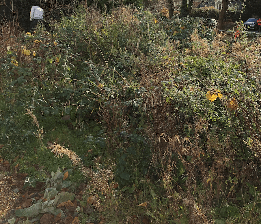 Garden Tidying