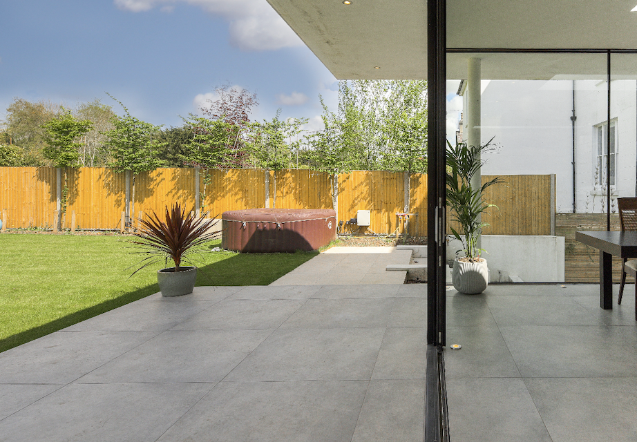Pleached Trees Reigate