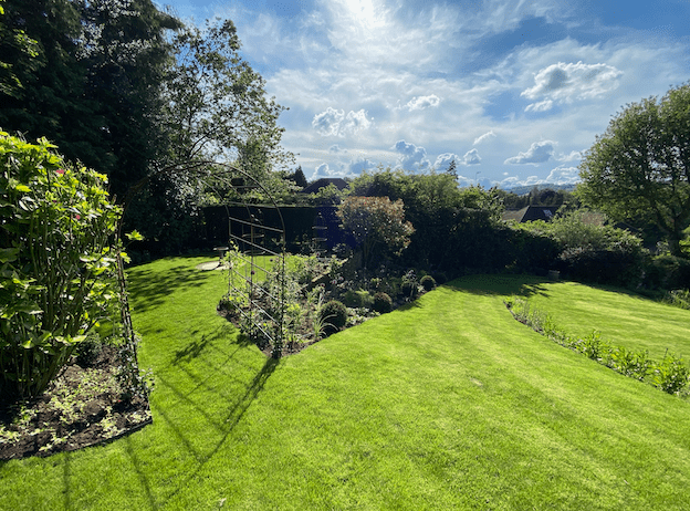 Large lawn Dorking