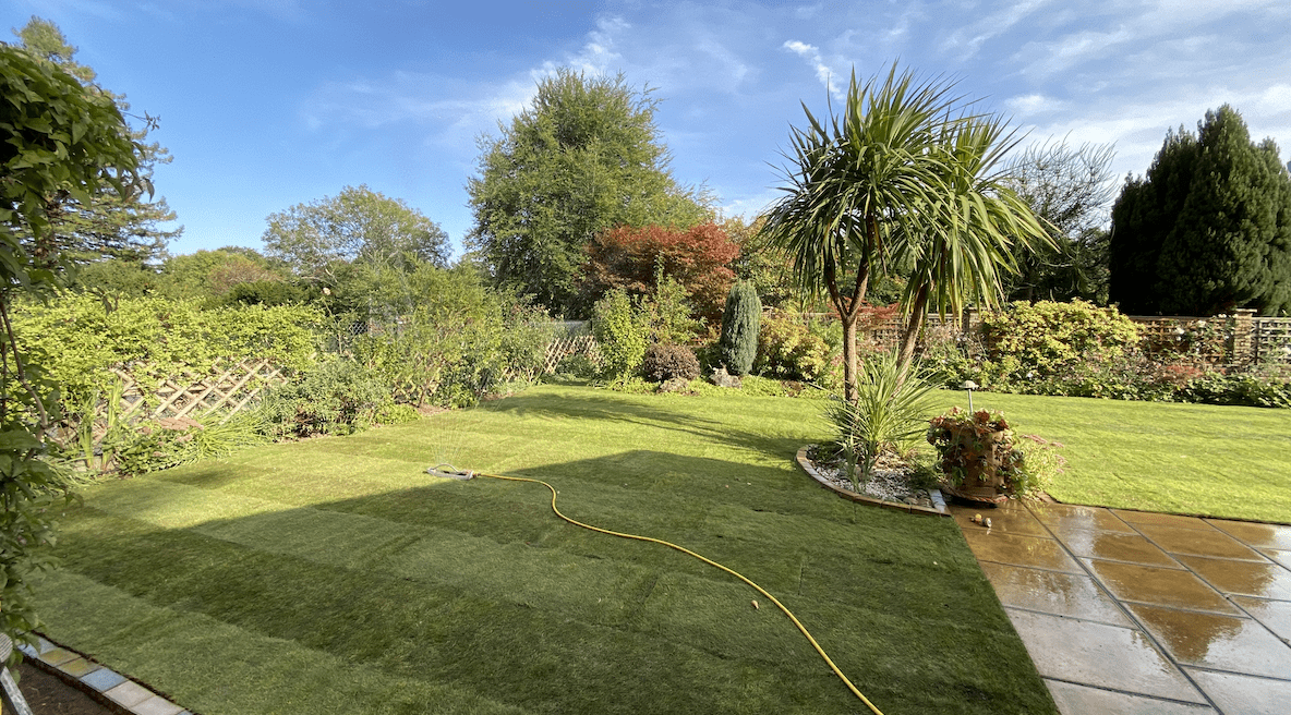 newly laid lawn