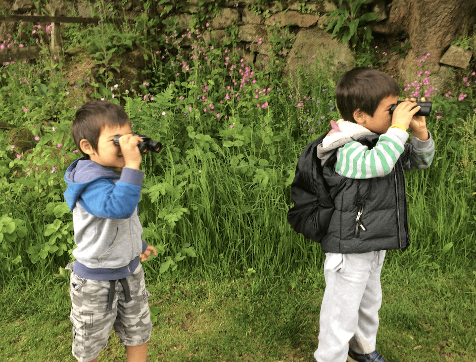 Bird watching Enjoying the garden with children