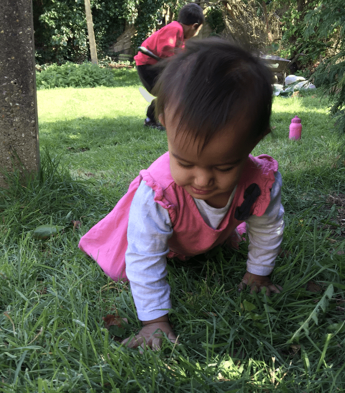 crawling through the grass