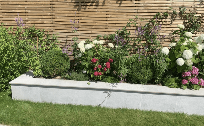 Slatted fencing and planting Planting in raised bed