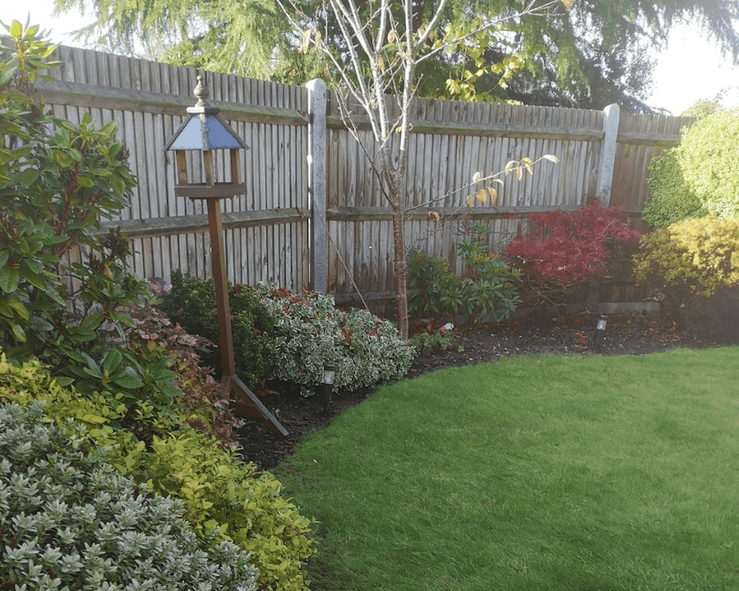 Border maintenance Regular gardening