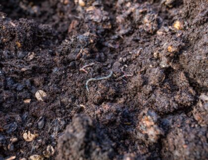 composting