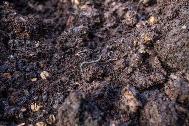 composting