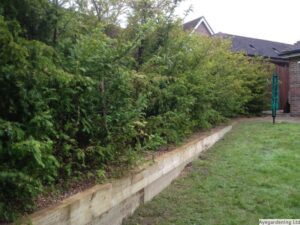 hedge planting Native hedging