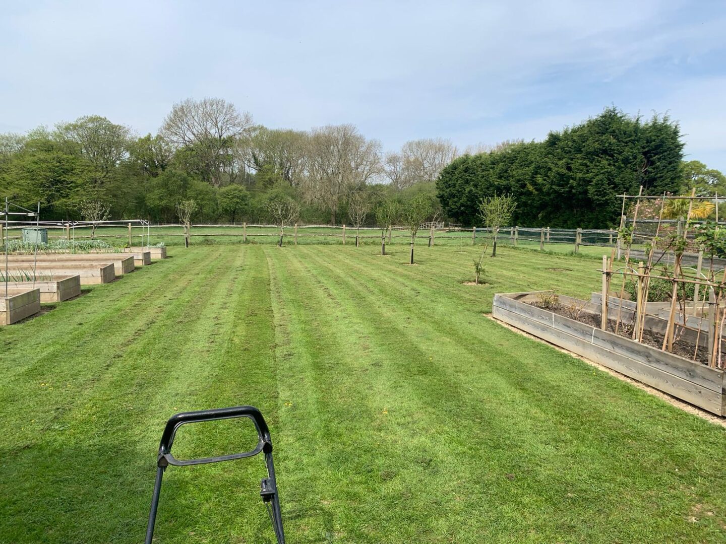 Grass cutting Horsham Grass cutting