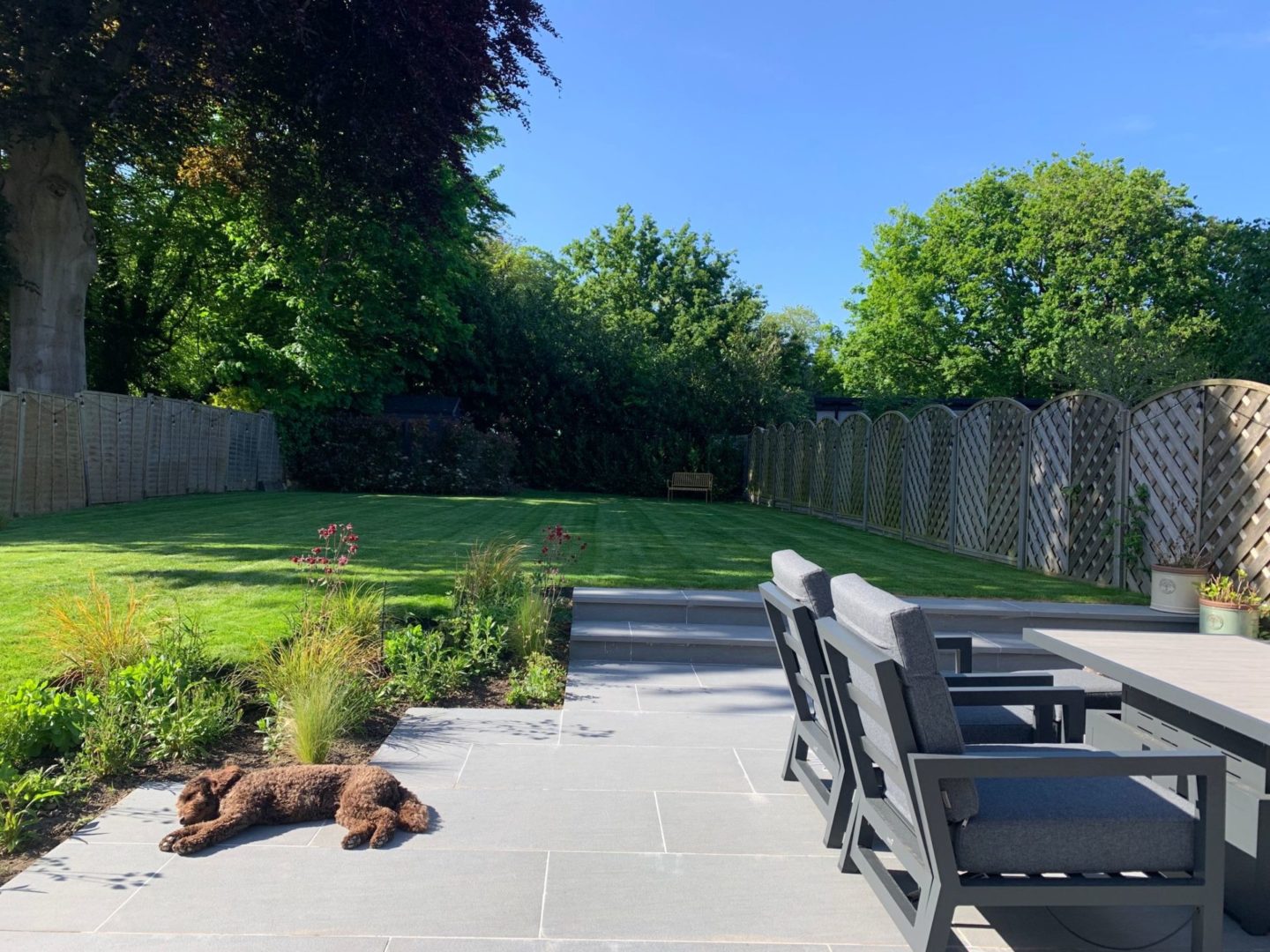 dog relaxing on patio