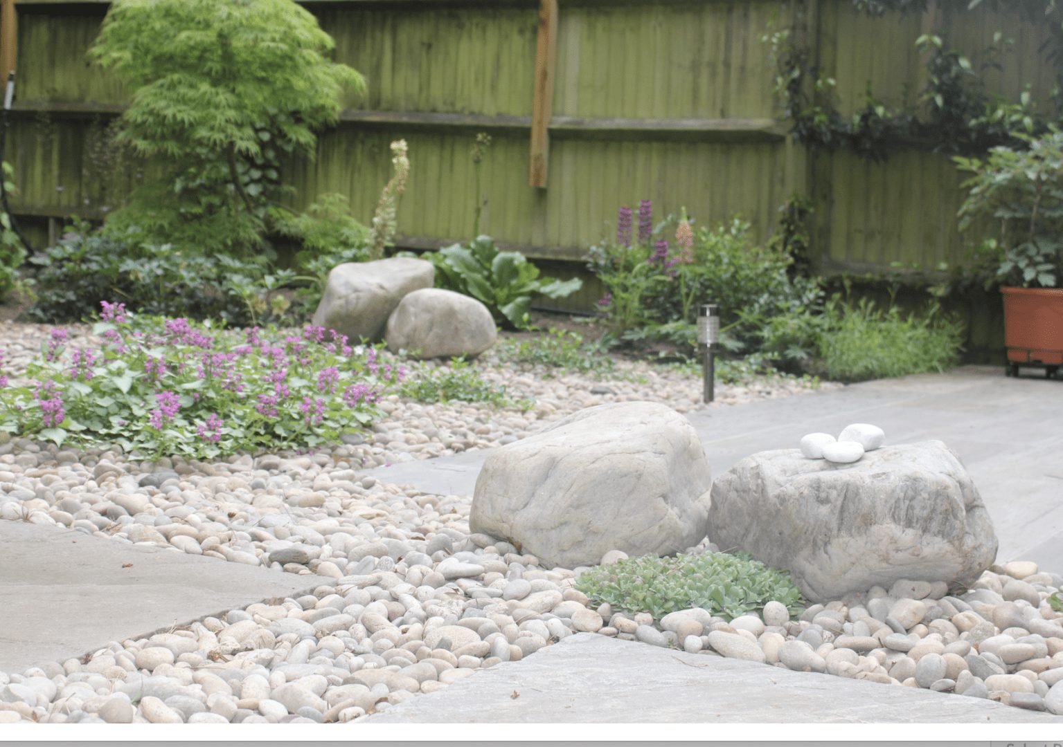 garden without grass garden without grass