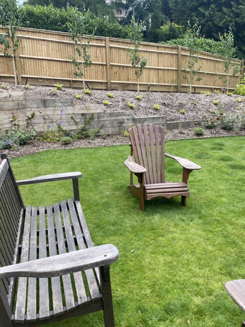 new lawn dorking new lawn dorking