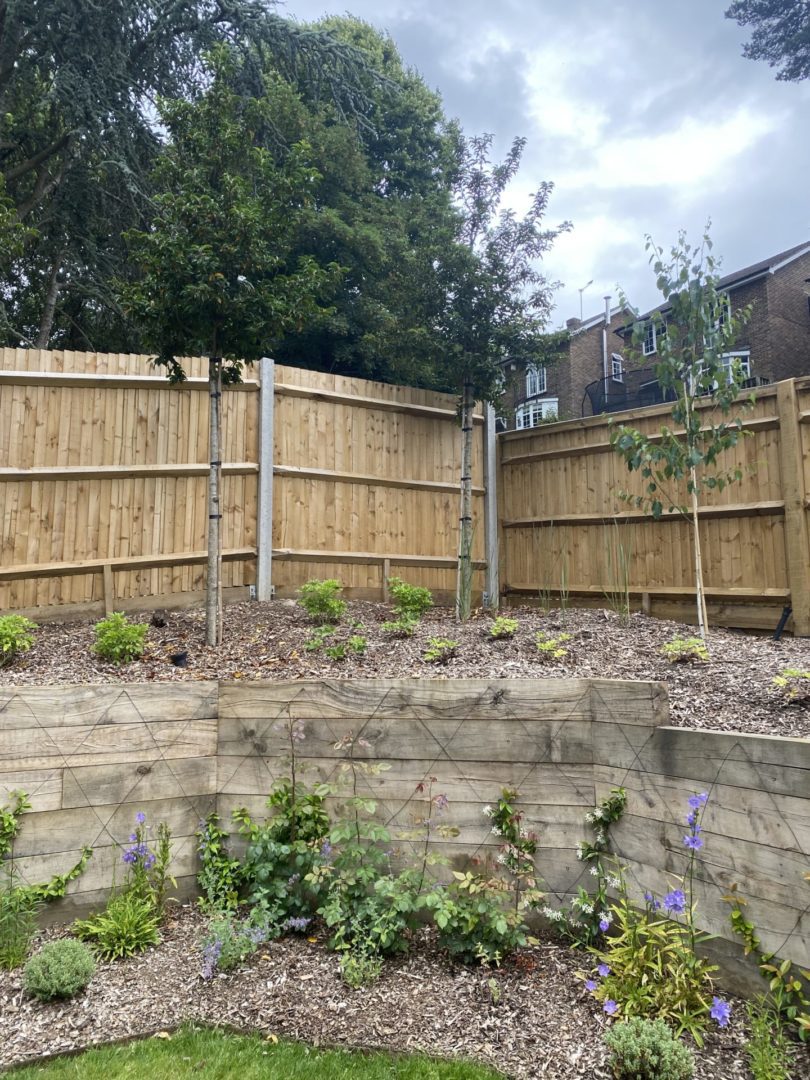 planting dorking surrey planting dorking Surrey