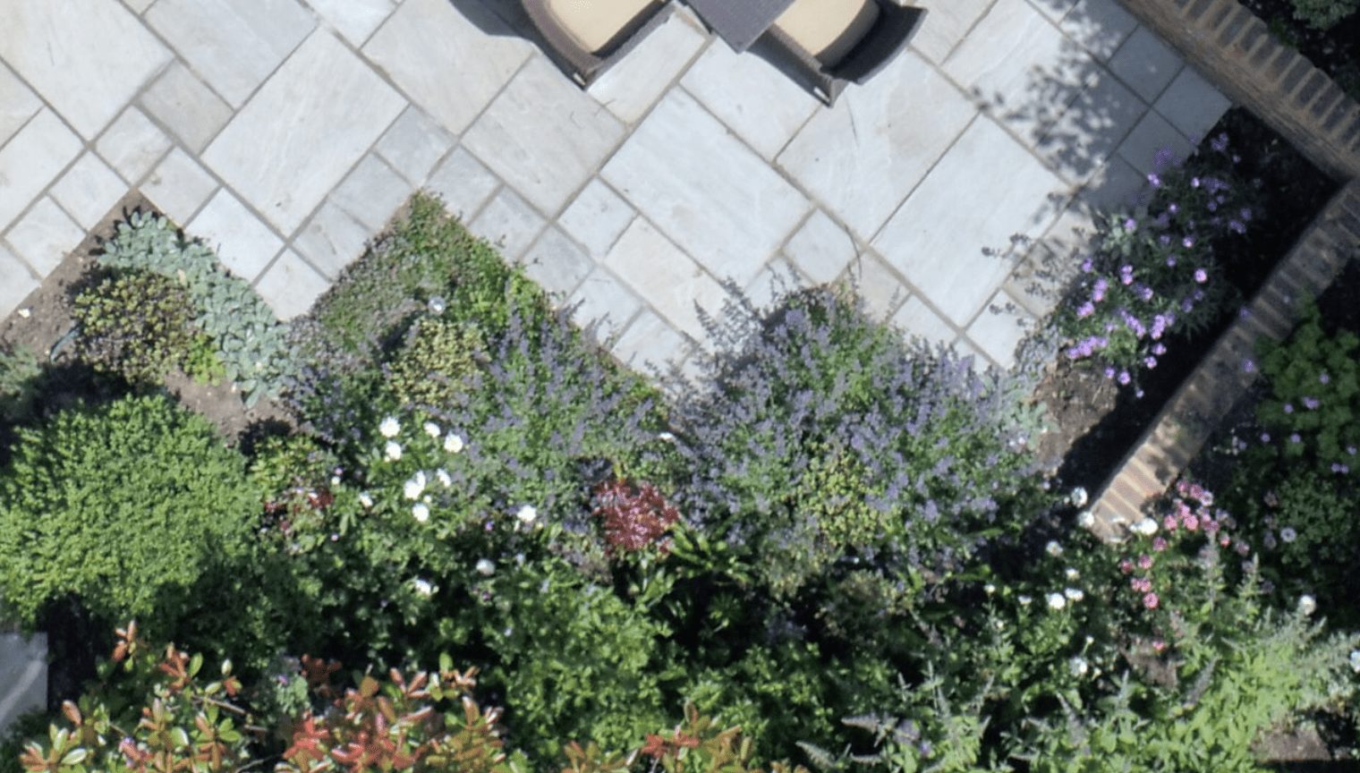 planting instead of lawn planting instead of lawn