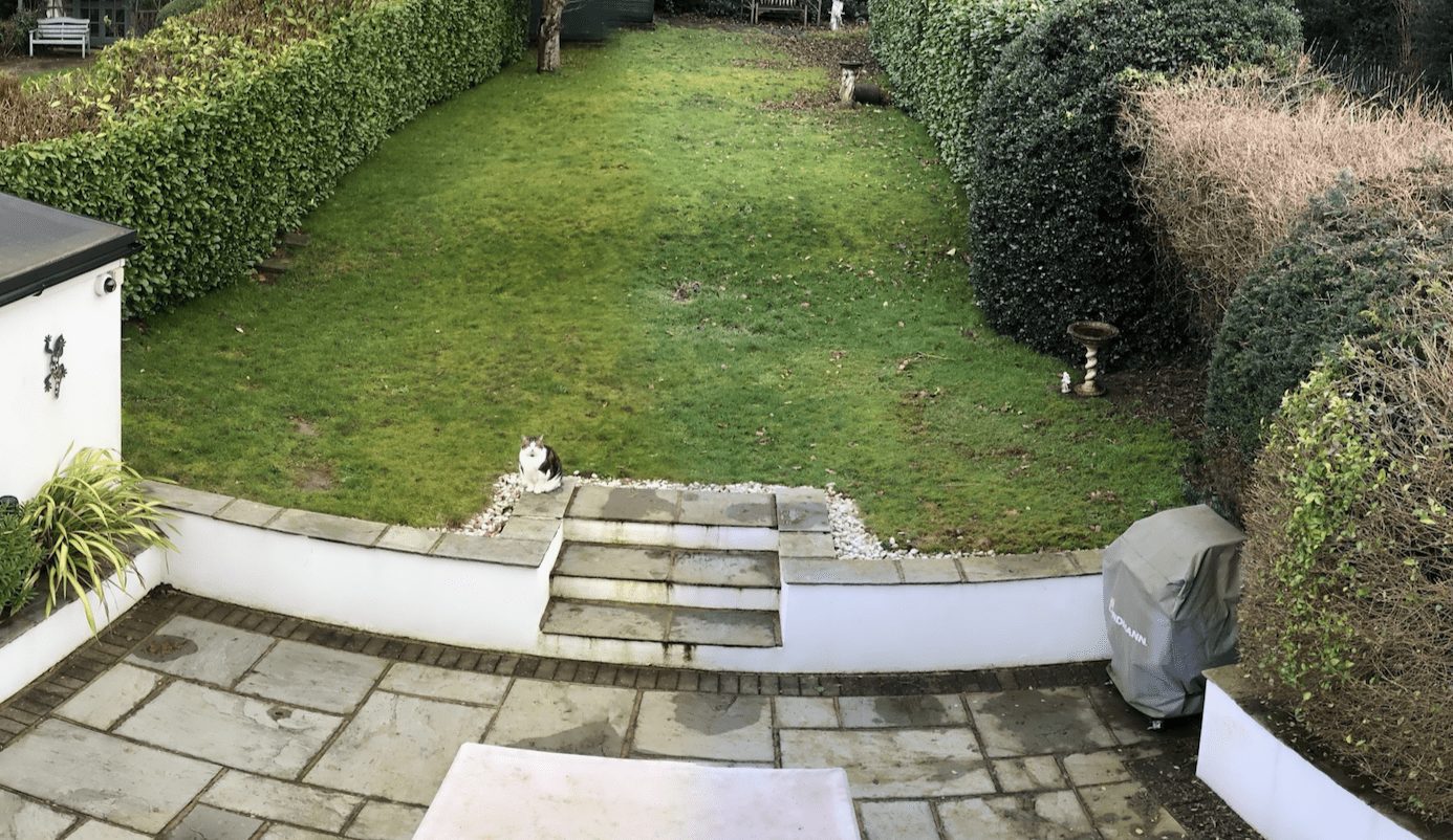 tadworth-landscaping-before Tadworth landscaping before photo